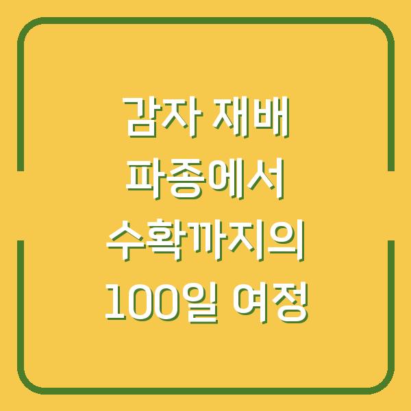 감자 재배 파종에서 수확까지의 100일 여정