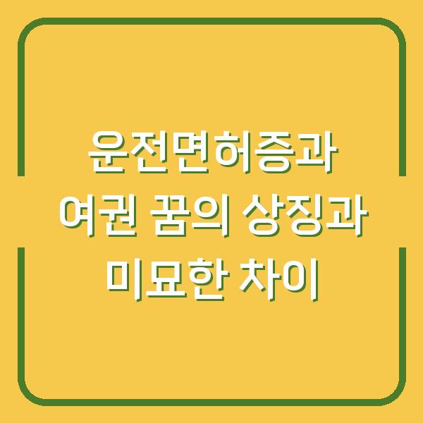 운전면허증과 여권 꿈의 상징과 미묘한 차이