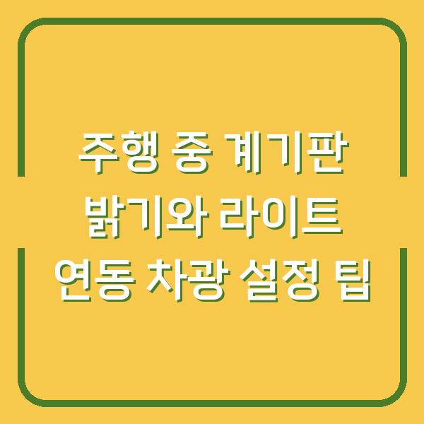 주행 중 계기판 밝기와 라이트 연동 차광 설정 팁