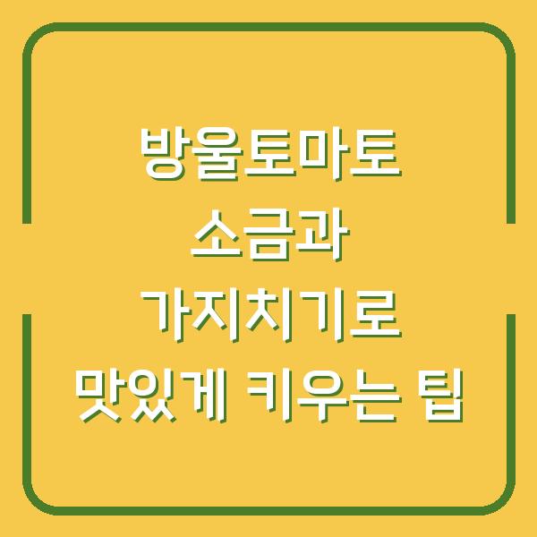 방울토마토 소금과 가지치기로 맛있게 키우는 팁