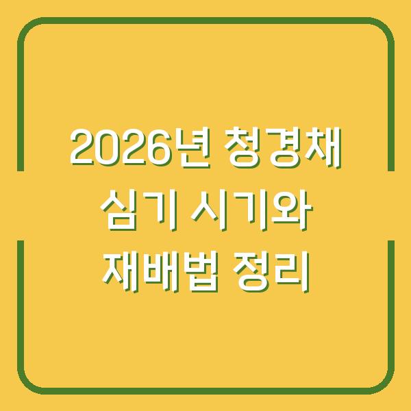 2026년 청경채 심기 시기와 재배법 정리