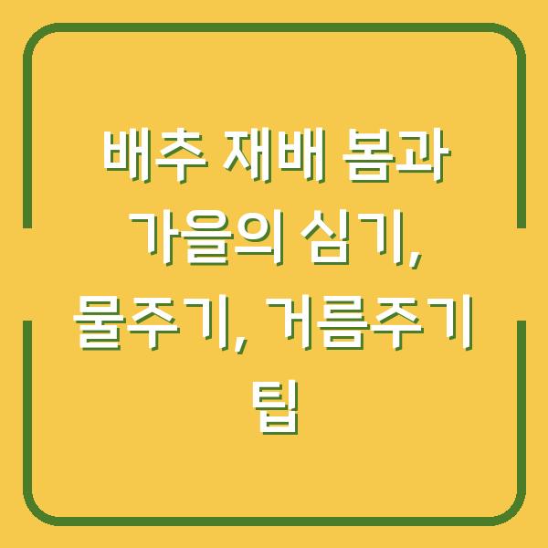 배추 재배 봄과 가을의 심기, 물주기, 거름주기 팁