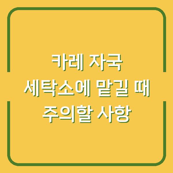 카레 자국 세탁소에 맡길 때 주의할 사항