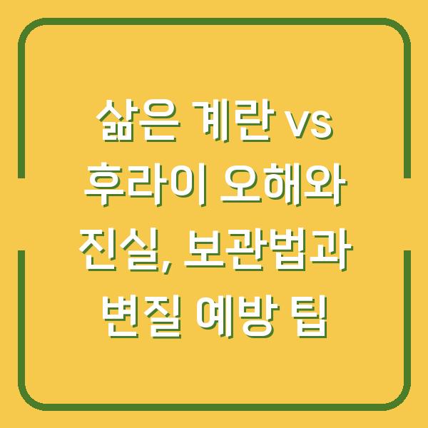 삶은 계란 vs 후라이 오해와 진실, 보관법과 변질 예방 팁