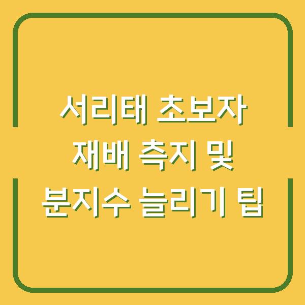 서리태 초보자 재배 측지 및 분지수 늘리기 팁