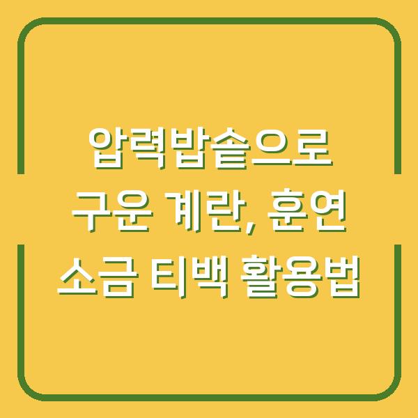 압력밥솥으로 구운 계란, 훈연 소금 티백 활용법