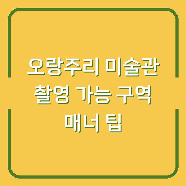 오랑주리 미술관 촬영 가능 구역 매너 팁