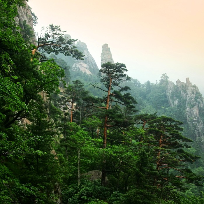 봉정암 등산로