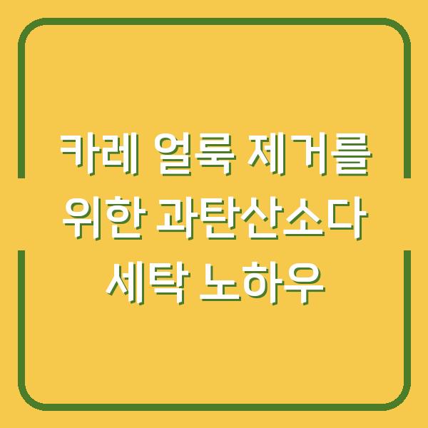 카레 얼룩 제거를 위한 과탄산소다 세탁 노하우