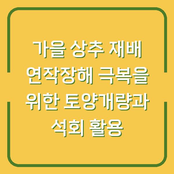 가을 상추 재배 연작장해 극복을 위한 토양개량과 석회 활용