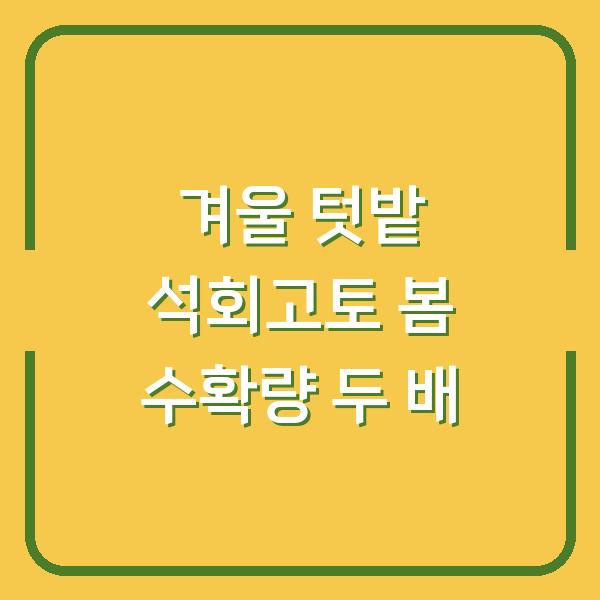 2026년 겨울 텃밭, 석회고토 한 번 쓰고 봄 수확량 두 배로 만드는 법
