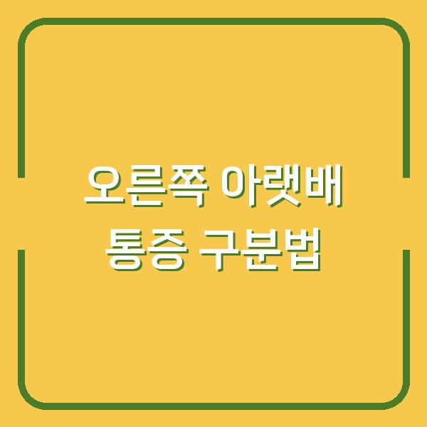 오른쪽 아랫배 찌릿할 때, 맹장염인지 여성 질환인지 구분하는 법