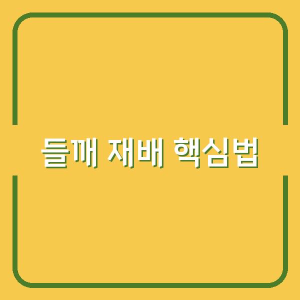 들깨 모종 심기와 옮겨심기 시기별 핵심 재배법으로 수확량 높이는 법