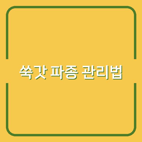 봄·가을 쑥갓 파종 시기와 재배 관리법으로 수확량 극대화하는 법