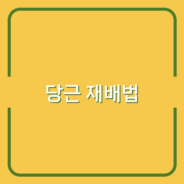 봄·가을 당근 파종 시기별 최적 재배법과 생생 관리 팁