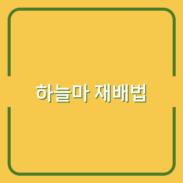하늘마 심기부터 수확까지, 실패 없는 재배 시기와 방법 선택법