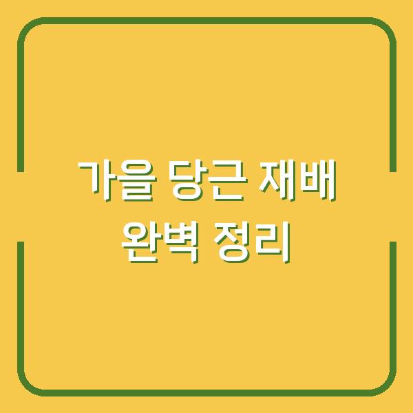 가을 당근 심는 시기와 재배 방법, 수확 시기까지 한 번에 정리