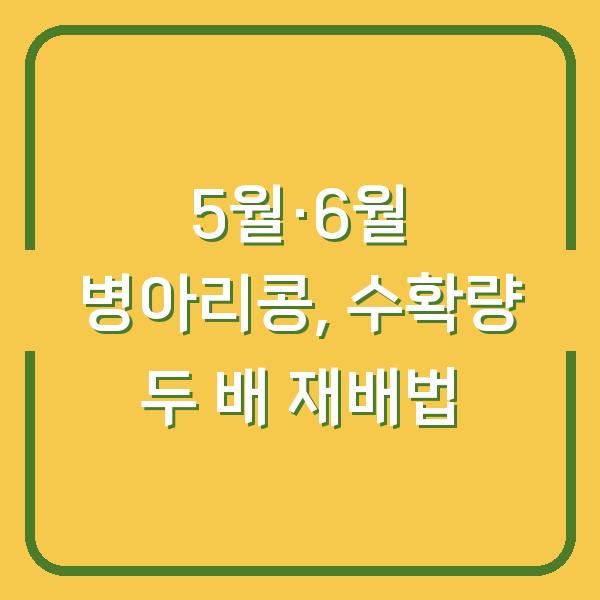 5월과 6월에 심는 병아리콩, 수확량 두 배로 늘리는 재배 방법