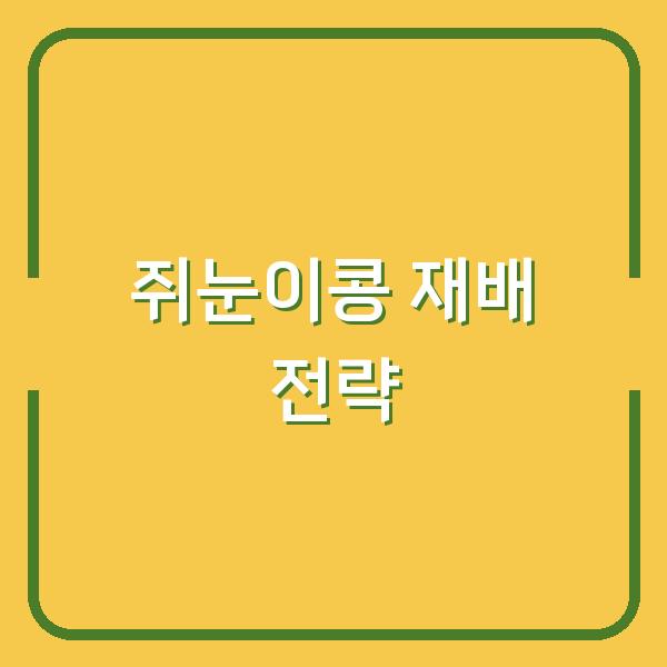 쥐눈이콩 심는 최적 시기와 생육 기간, 성공 재배법부터 수확까지 핵심 전략