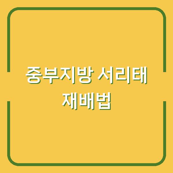 중부지방 서리태 심는시기와 재배법, 그리고 효능까지 놓치지 않고 챙기는 방법