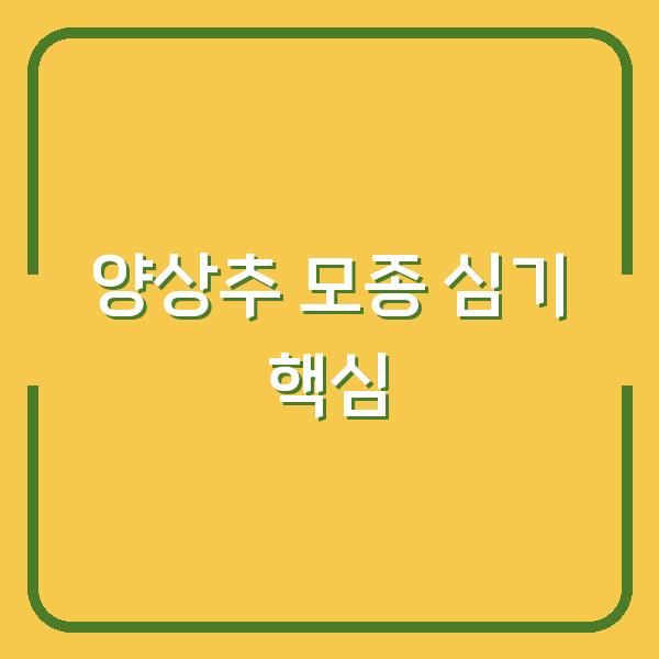 양상추 모종 심기, 이렇게만 하면 실패 없이 2주 안에 수확합니다
