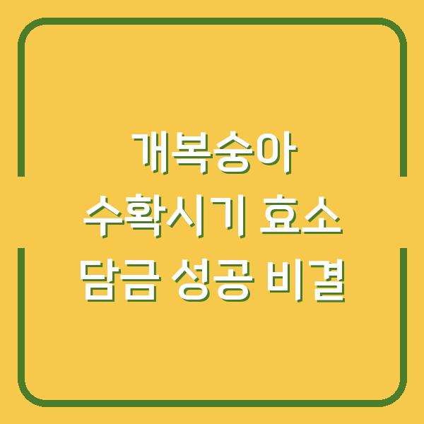 개복숭아 수확시기, 효소 담그기 전에 알면 수확량 3배 차이 나는 이유