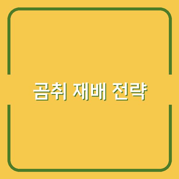 곰취 심기 최적 시기부터 키우는 법, 수확 시점까지 놓치지 말아야 할 핵심 전략