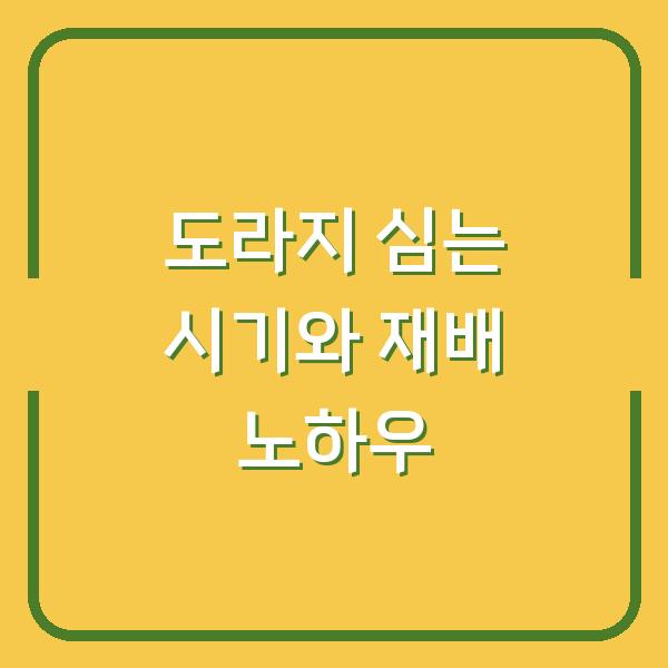 도라지 심는 시기 놓치면 1년 기다려야 합니다 – 씨앗 파종부터 수확까지 현실 재배 노하우