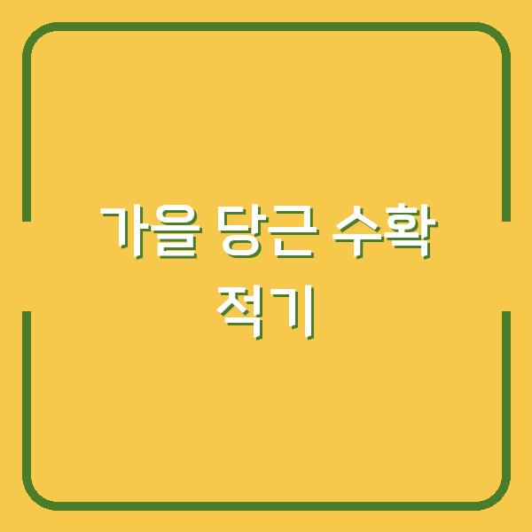 가을 당근, 언제 캐야 가장 달고 아삭할까? 수확부터 장기 보관 노하우