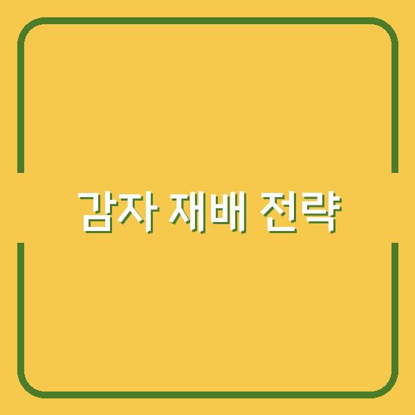 2026년 가을, 감자 재배 시기별 전략과 수확을 높이는 핵심 재배법