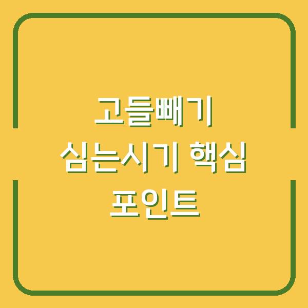 고들빼기 심는시기 놓치면 수확량 반토막… 파종부터 관리까지 3가지 핵심 포인트