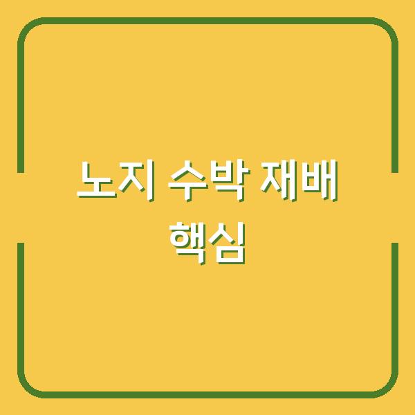 노지 수박 심는시기, 모종 심는 방법, 재배 시 꼭 챙겨야 할 3가지
