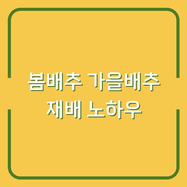 봄배추 심는 시기부터 가을배추 수확까지, 물주기와 거름주기 실전 노하우