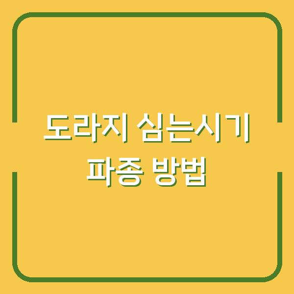 도라지 심는시기 놓쳤다면? 지금 당장 확인해야 할 파종 방법과 재배 성공 포인트