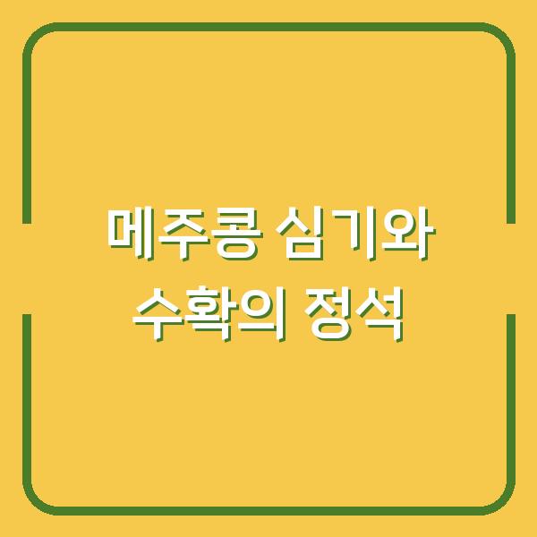 메주콩 심는 시기와 수확 시기, 파종 방법을 정확히 알면 수확량 2배 차이