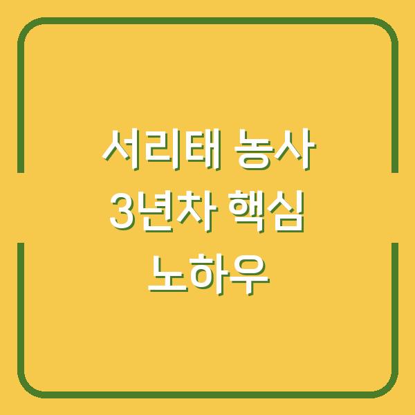 서리태 농사, 3년 차에 깨달은 심는 시기와 수확 시기, 그리고 수확량 두 배로 늘린 재배 방법