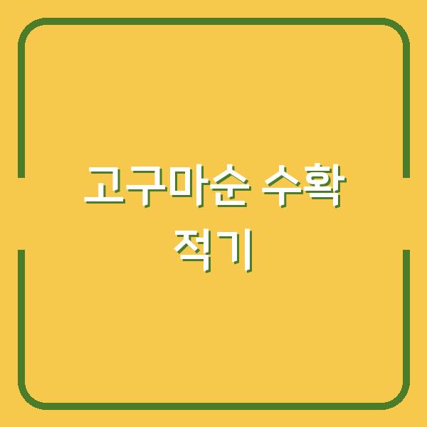 고구마순 수확시기, 늦어도 손해 빨라도 손해… 지금 심으면 내년 보관까지 문제없다