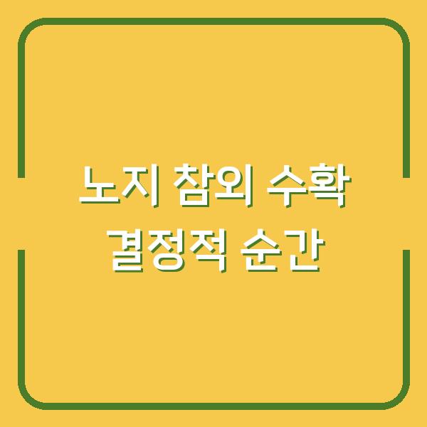 노지 참외 수확시기, 당도 높은 참외 따는 결정적 순간
