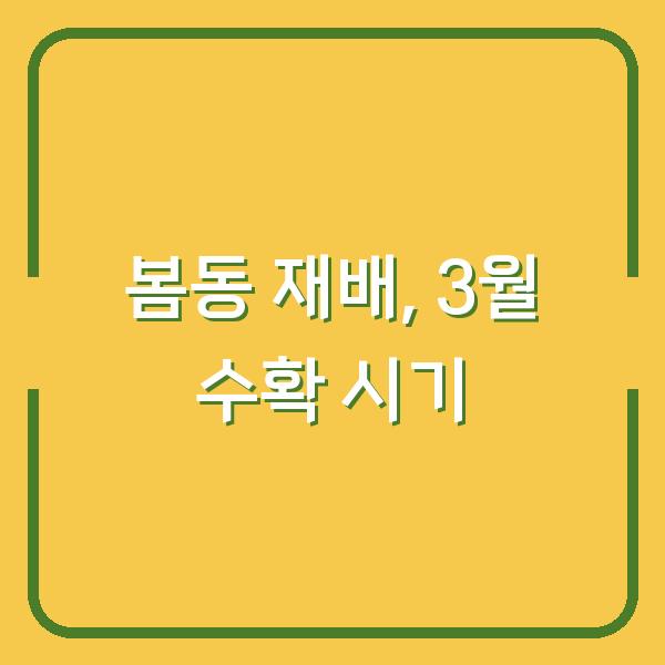 봄동 재배, 3월 수확하려면 지금 심어야 하는 이유