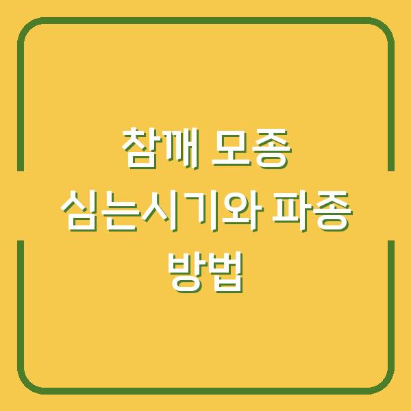 참깨 모종 심는시기와 파종 방법, 재배 중 실수 줄이는 3가지 포인트