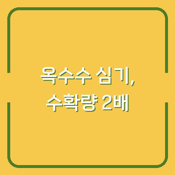 옥수수 심는 시기, 씨앗 vs 모종 중 어느 게 수확량 2배일까?