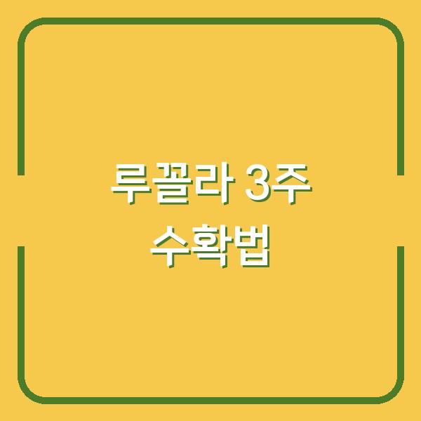 루꼴라 심는 시기만 알면 3주 안에 수확 가능한 초보 재배법
