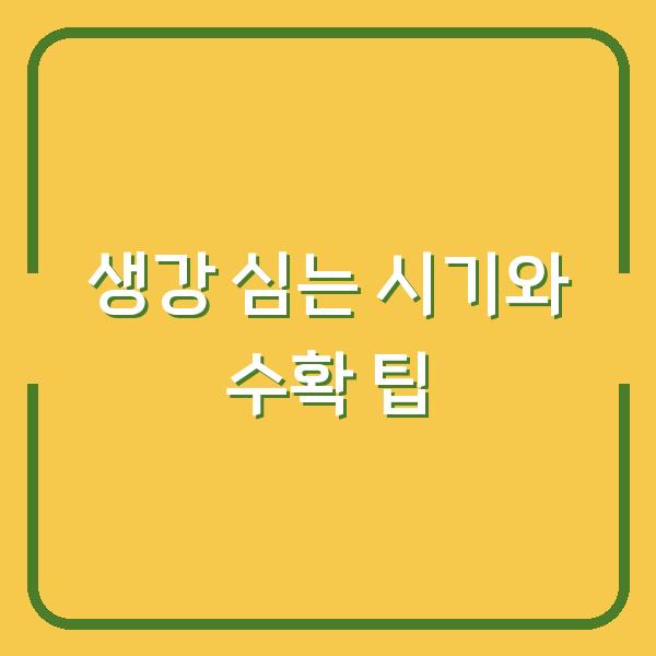 생강 심는 시기 놓치면 수확량 반토막? 실제 재배 방법과 수확 팁 공개
