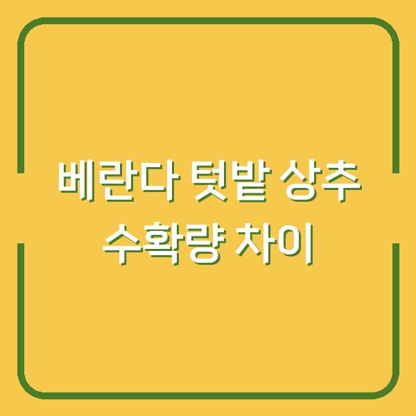 베란다 텃밭 vs 노지 상추 씨앗 심기, 수확량이 2배 차이 나는 이유