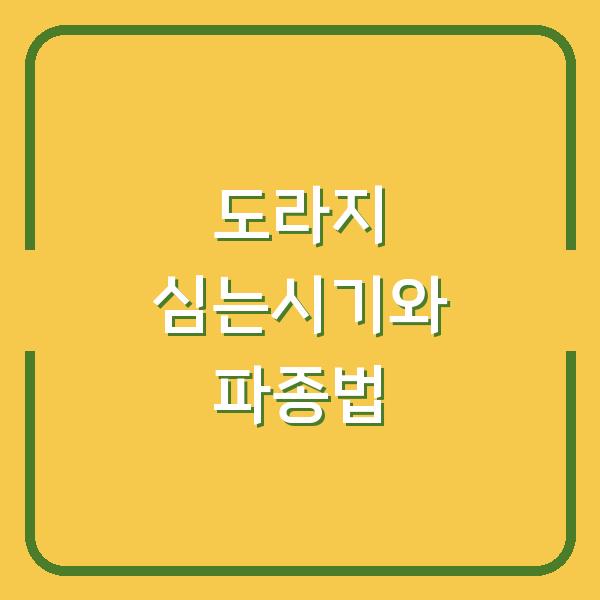 도라지 심는시기와 파종 방법, 수확량 2배 올리는 현실적인 재배 팁