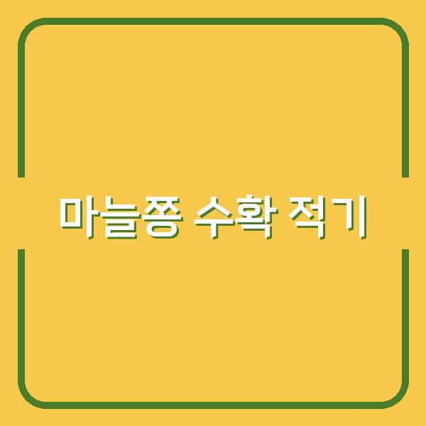 마늘쫑 수확 시기 놓치면 질겨져요, 지금이 적기입니다