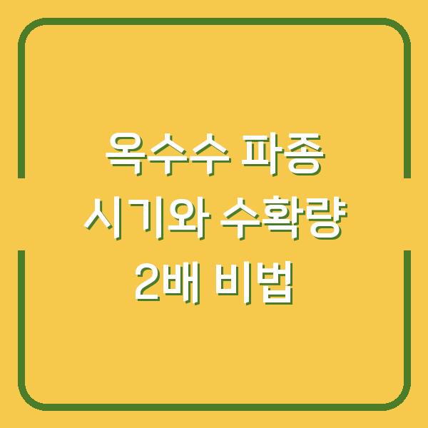 2026년 옥수수 재배, 수확량 2배 올리는 파종 시기와 방법