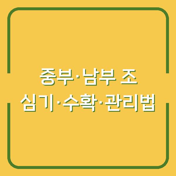 중부·남부 지역 조 심는 시기와 수확 시기, 관리법까지 한눈에