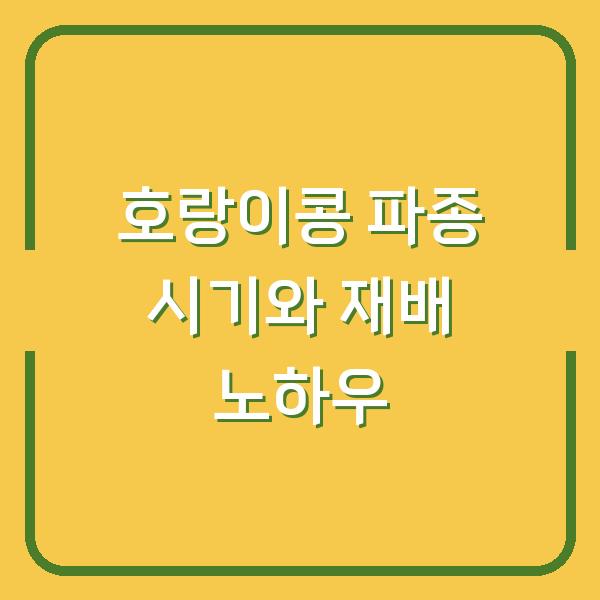 호랑이 콩 심는 시기와 파종 방법 수확량 2배로 늘리는 재배 노하우
