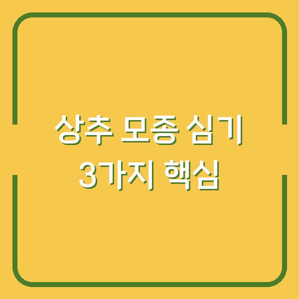 상추 모종 심기 3가지만 알면 실패 없이 첫 수확까지